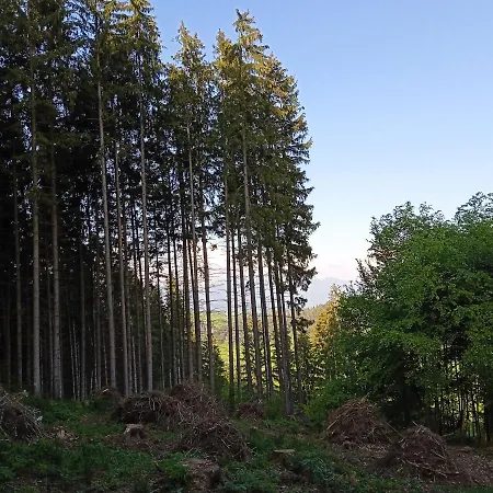 Liptovska Mara بيت للعطل